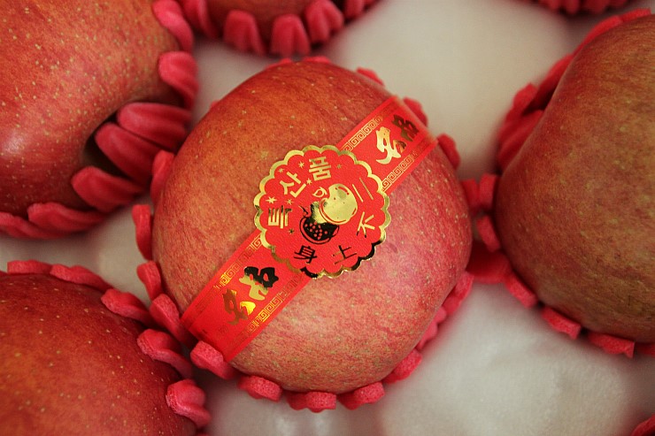 제품간략이미지