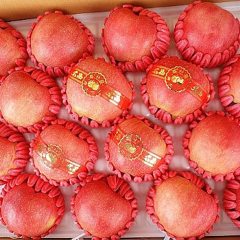 제품간략이미지